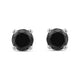 Load image into Gallery viewer, Jewelili 10K White Gold 2 Cttw Treated Black Round Diamonds Stud Earrings

