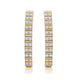 Load image into Gallery viewer, Jewelili Hoop Earrings with Natural White Round Diamonds in Yellow Gold over Sterling Silver 1/4 CTTW view 1
