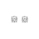 Load image into Gallery viewer, Jewelili 14K White Gold With 1/2 CTTW Diamonds Stud Earrings
