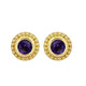 Load image into Gallery viewer, Jewelili 10K Yellow Gold with Natural Round Amethyst Stud Earrings
