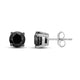 Load image into Gallery viewer, Jewelili Stud Earrings with Treated Black Diamonds in 14K White Gold 1.0 CTTW View 3
