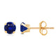 Load image into Gallery viewer, Jewelili Stud Earrings with Round Cut Created Blue Sapphire in Yellow Gold view 3
