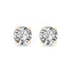 Load image into Gallery viewer, Jewelili 10K Yellow Gold With 1/4 CTTW Natural White Diamond Solitaire Stud Earrings
