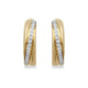 Load image into Gallery viewer, Jewelili Earrings with Round Natural White Diamonds in 10K Yellow Gold 1/4 CTTW View 1
