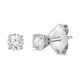 Load image into Gallery viewer, Jewelili Stud Earrings with Diamonds in 14K White Gold 1/3 CTTW View 1
