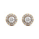 Load image into Gallery viewer, Jewelili 10K Yellow Gold With 1/3 CTTW Natural White Diamond Stud Earrings
