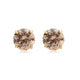 Load image into Gallery viewer, Jewelili Stud Earrings with Champagne Cubic Zirconia in 10K Yellow Gold View 1

