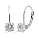 Load image into Gallery viewer, Jewelili Leverback Earrings with Cubic Zirconia in 10K White Gold View 1
