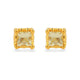 Load image into Gallery viewer, Jewelili 10K Yellow Gold with 1/2 CTTW Treated Yellow Princess Cut Diamonds with Garnet Stud Earrings
