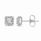 Load image into Gallery viewer, Jewelili Sterling Silver With 1/4 CTTW Diamonds Stud Earrings
